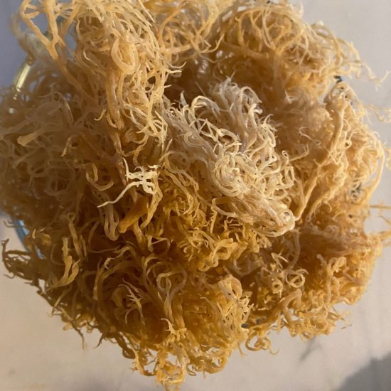 Premium Raw Sea Moss