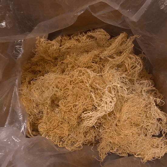 Wholesale Gold Premium Sea Moss